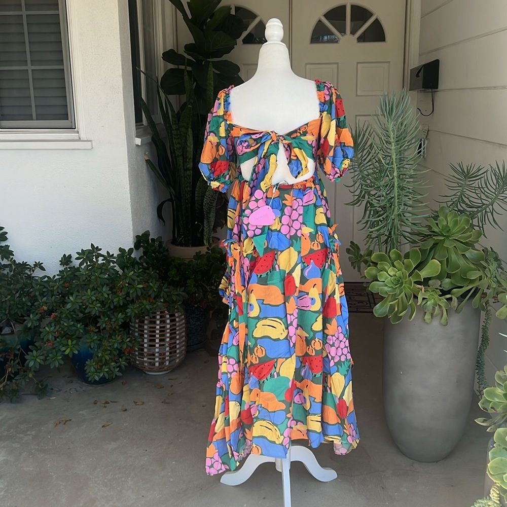 Farm Rio Dress - Picture 9 of 14